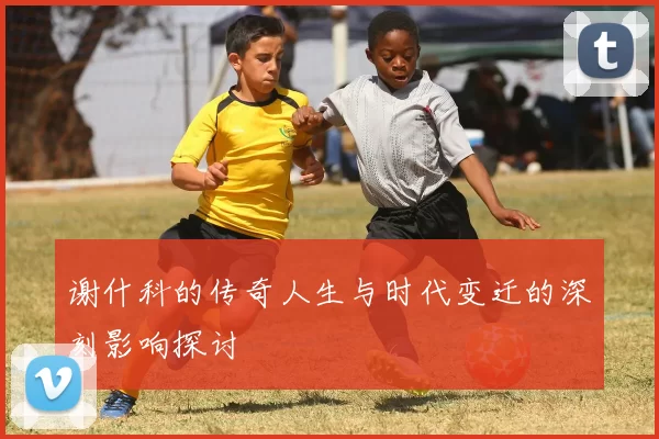 谢什科的传奇人生与时代变迁的深刻影响探讨
