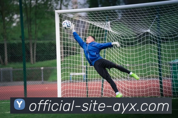 爱游戏APP 封面图